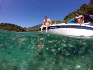 Angra dos Reis and Ilha Grande: Small-Group Fast-Boat Tour - The 14-Hour Rhythm: Rio Transfer, Snack Stop, and Island Hopping