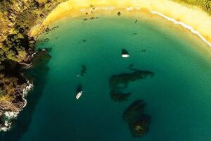 Baia do Sancho Boat Tour - Dolphins, wind, and photos: how to make the most of the deck time