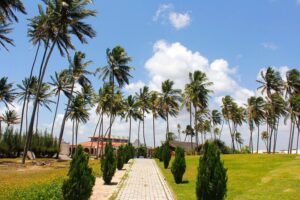 Barra de Punaú Tour - Departing from Natal - Optional Excursions: Buggy, Quad, Kayak, and More