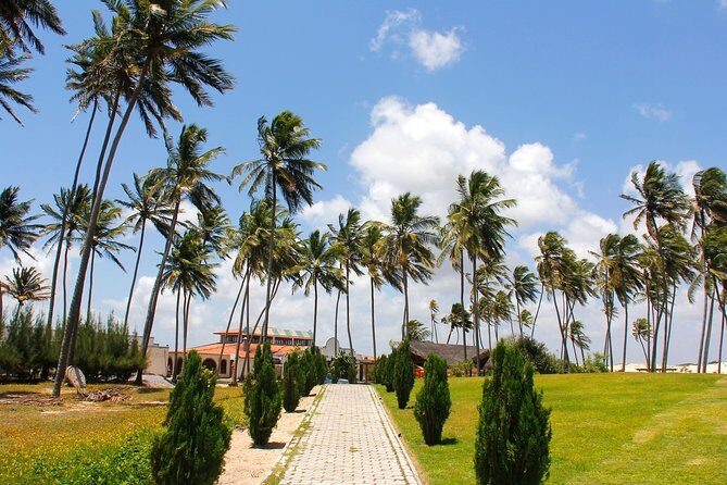 Barra de Punaú Tour - Departing from Natal - Optional Excursions: Buggy, Quad, Kayak, and More