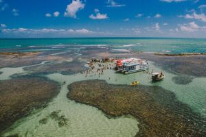Catamaran Tour to the Seixas Natural Pools - Piscinas Naturais do Seixas: what makes the water special
