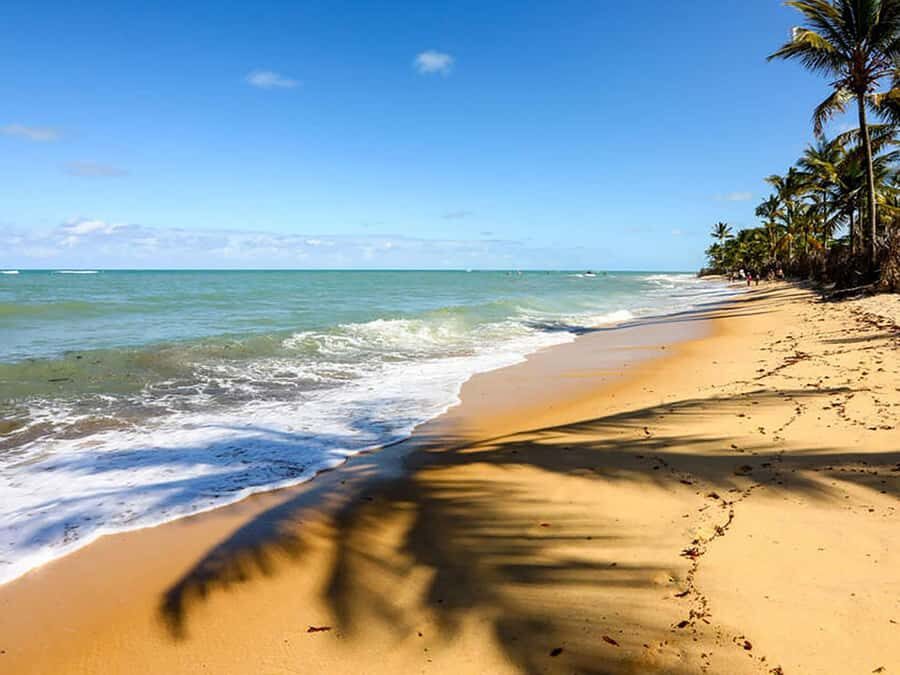 Cumbuco Adventure: Dune Rides, Lagoa do Catu & Coastal Views - The Dune Buggy Ride: The Thrill (and the Extra 120 Reais)