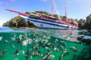 Exploring Angra Dos Reis and Ilha Grande in One Day - Cais de Santa Luzia: Fishermen Boats and the Dusk-Photo Start