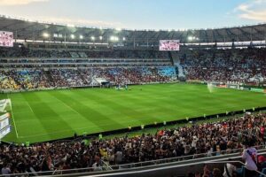 Football Match in Rio de Janeiro - Guided with Transportation - Maracanã vs. Estádio Nilton Santos: How Each Stadium Shapes the Night