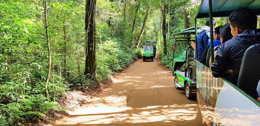 From Foz do Iguazu: Brazil Iguazu Falls & Macuco Safari Boat - Group Size: Why Max 15 People Can Change Your Whole Day