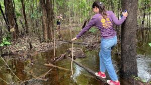 From Manaus: One-Day Amazon Jungle Experience - Manaus pickup and the trip out to Castanho Lake