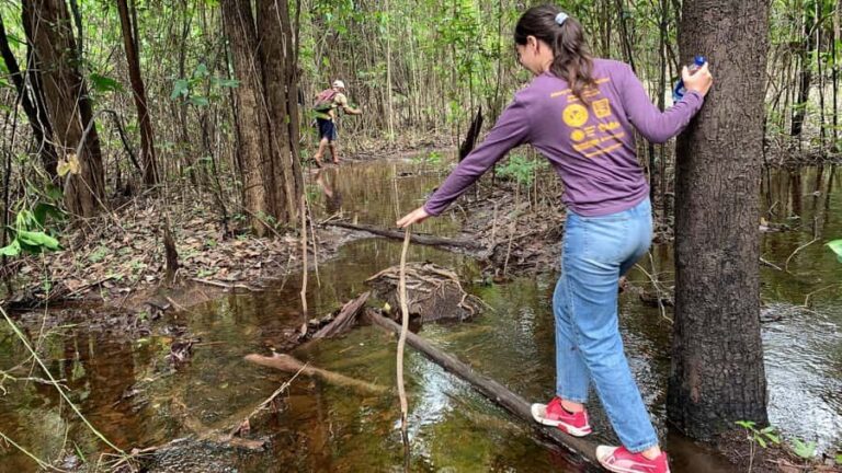 From Manaus: One-Day Amazon Jungle Experience - Manaus pickup and the trip out to Castanho Lake