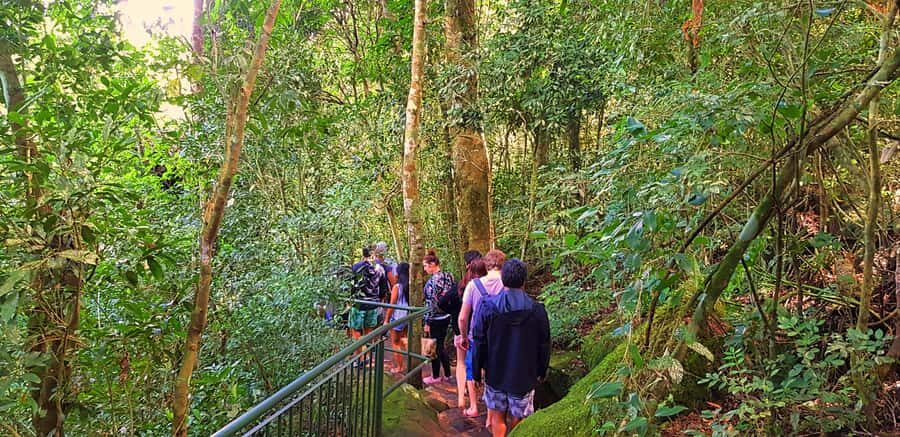 From Puerto Iguazu: Brazilian Falls with Boat Adventure - Price and value: why this $256-per-person tour can make sense