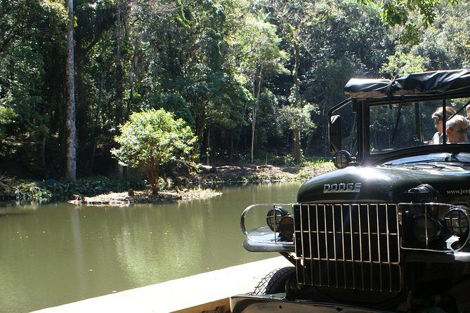 Jeep Adventure: Guided Tour through Tijuca Rain Forest - Tijuca National Park and the Mata Atlântica Ecosystem Story
