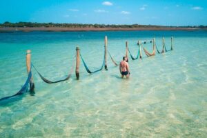 Jericoacoara Tour in 1 Day - Arvore da Preguiça: Sloth Tree Photos in a 10-Minute Window