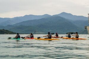 Kayaking to the mangroves - From Bay to Canals: Paraty Views, Photo Stops, and Historic Details