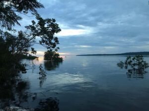 Manaus: 2-Day River Tour With Overnight Stay - Trekking for Flora and Fauna: Survival Skills You Can Actually Use