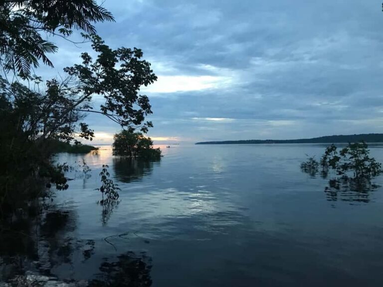 Manaus: 2-Day River Tour With Overnight Stay - Trekking for Flora and Fauna: Survival Skills You Can Actually Use