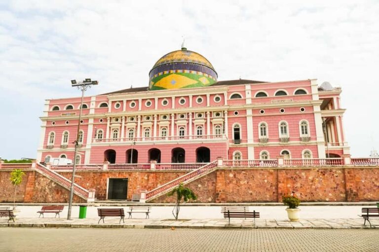 Manaus: Half-Day City Tour - Getting from hotel to landmarks without wasting time