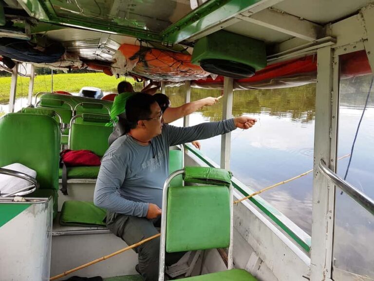 Manaus: Piranha Fishing and Alligator Watch Evening Tour - Piranha fishing on the Solimões with bamboo rods