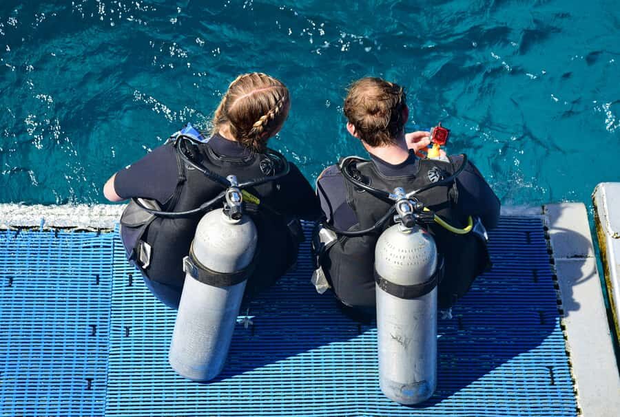 Rio: Best Dive Experience All Inclusive Scuba Diving Package - Rules that keep the wildlife close (and keep you safe)