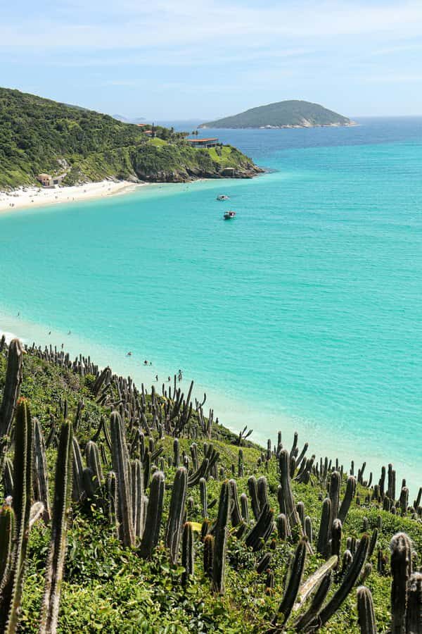 Rio: Best Dive Experience All Inclusive Scuba Diving Package - Your water time in Arraial do Cabo: snorkeling plus tank sessions