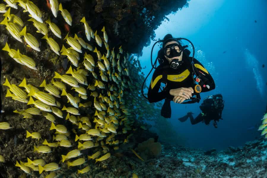 Rio: Best Dive Experience All Inclusive Scuba Diving Package - Getting from Rio to the coast without the headache