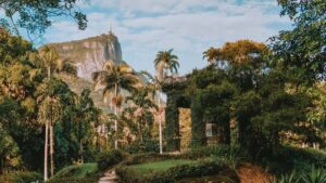 Rio de Janeiro: 4-Hour Botanical Garden & Tijuca Forest Tour - Vista Chinesa panoramas depend on the day of week