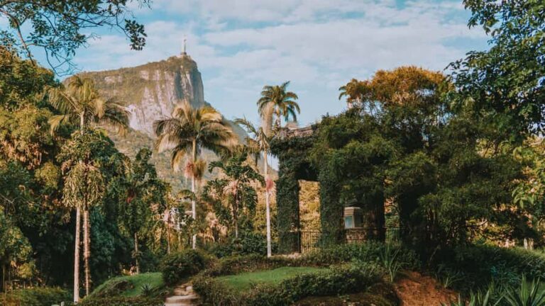 Rio de Janeiro: 4-Hour Botanical Garden & Tijuca Forest Tour - Vista Chinesa panoramas depend on the day of week