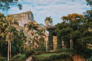 Rio de Janeiro Botanical Garden & Tijuca Forest Tour - Stop 1: Rio’s Botanical Garden for plants, fruits, and birds