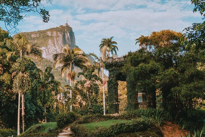 Rio de Janeiro Botanical Garden & Tijuca Forest Tour - Stop 1: Rio’s Botanical Garden for plants, fruits, and birds