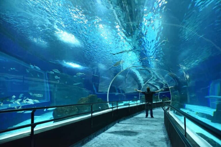 Rio de Janeiro: Marine Aquarium Entry Tickets - Two hours is plenty: how to plan your visit