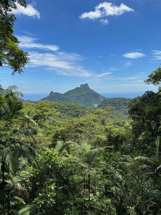 Rio de Janeiro: Tijuca National Park Tour - Pickup and timing: from 7:30 AM to around early afternoon