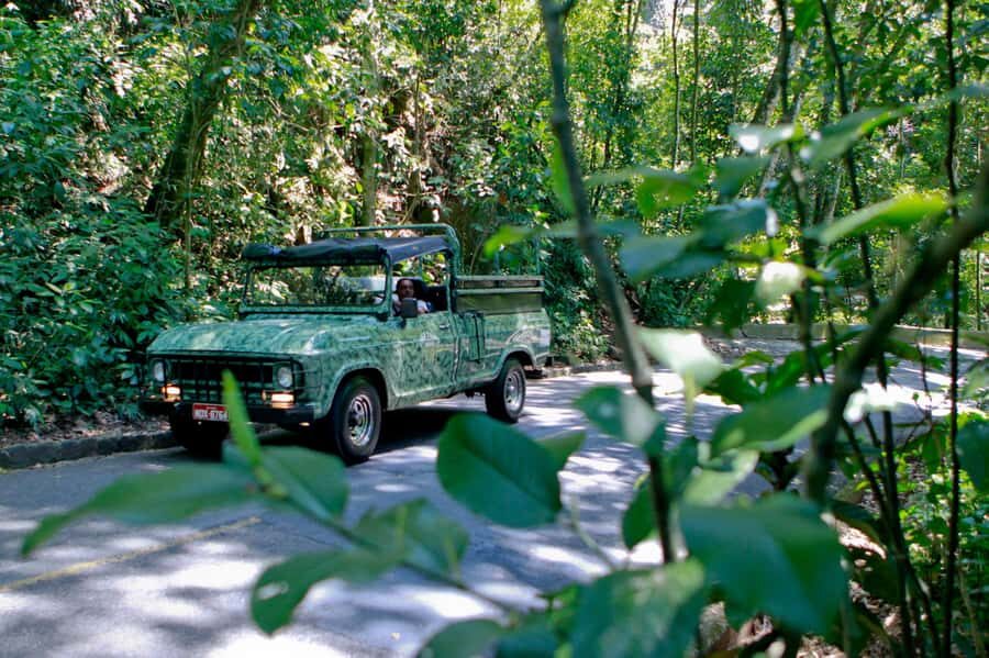 Rio: Half-Day Jeep Tour at Floresta da Tijuca - Why the open-air Jeep setup works in Tijuca
