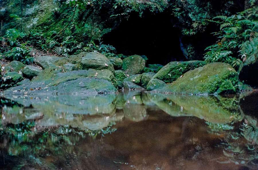 Rio: Half-Day Jeep Tour at Floresta da Tijuca - Tijuca National Park: your two easy walks through Atlantic Forest