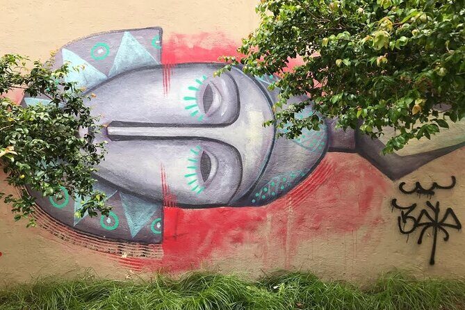 Rio Street Art Tour - Why Rio’s Walls Tell the City’s Story