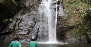 Rio: Tijuca Forest & Horto Waterfalls Circuit Tour - The hike reality check: moderate means roots and friction