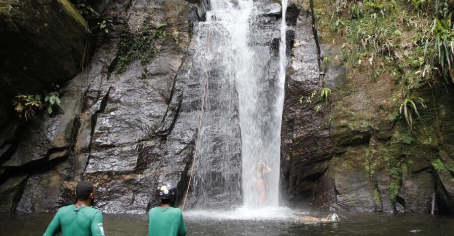 Rio: Tijuca Forest & Horto Waterfalls Circuit Tour - The hike reality check: moderate means roots and friction
