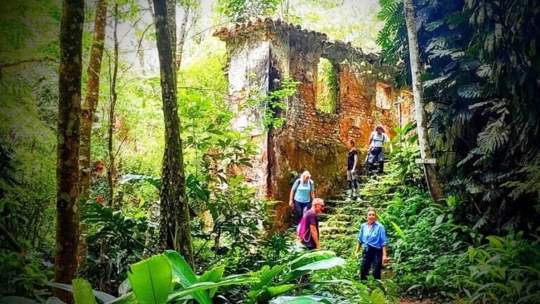 Rio: Tijuca Forest Small Group Hike to Caves and Waterfalls - Hotel pickup in Rio: the real convenience factor