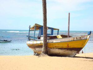 Salvador: Praia Do Forte and Guarajuba Beach Day Trip - Hotel Pickup, Route Pace, and What 8 Hours Feels Like