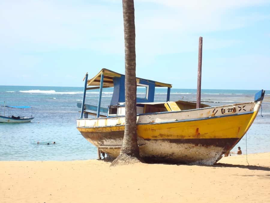 Salvador: Praia Do Forte and Guarajuba Beach Day Trip - Hotel Pickup, Route Pace, and What 8 Hours Feels Like