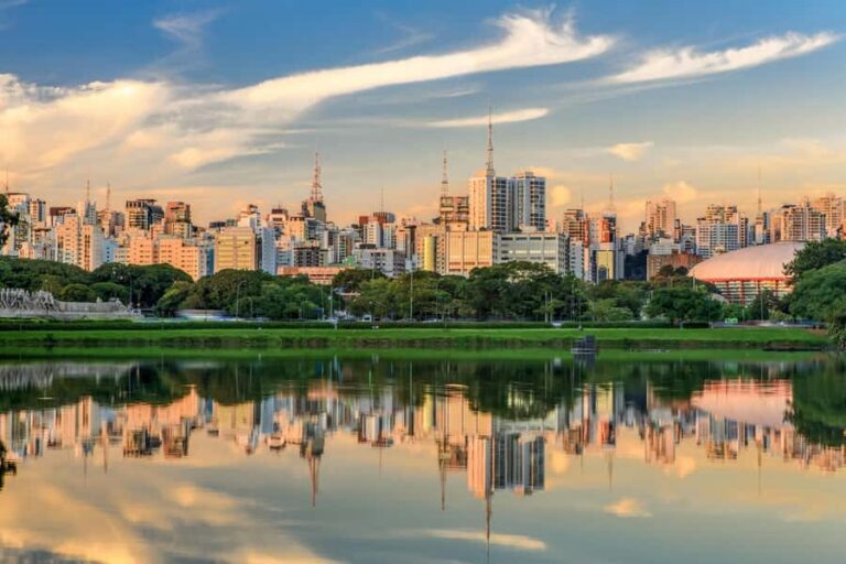 São Paulo City: 5-Hour Private Tour - Ibirapuera Park and MAC USP: modern São Paulo in small bites