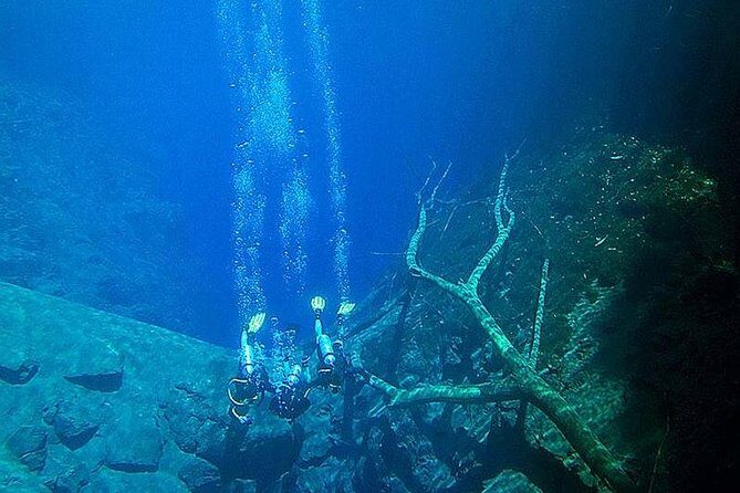 Skip the Line: Lagoa Misteriosa Admission Ticket with Scuba Diving Experience - From check-in to the lake: gear, change time, and the stair reality