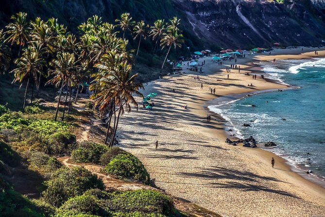 Sun and Fun at Pipa Beach: Day Tour from Natal - Natal to Pipa: the ride sets the mood