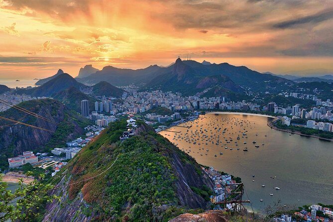The Best of Rio de Janeiro in a Private Guided Tour - Tijuca National Park to Mirante Dona Marta: views that anchor the morning