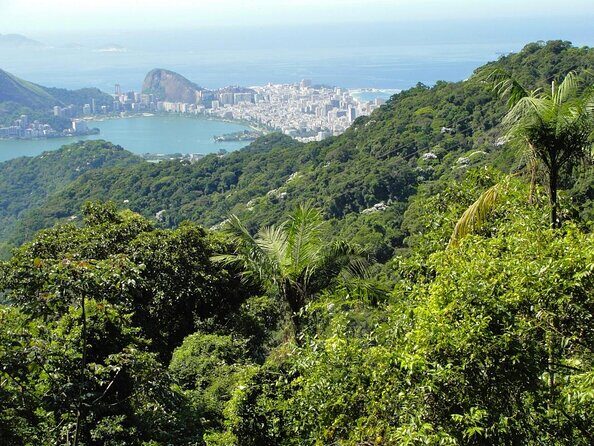Tijuca National Park and all its wonders - Key things to love about Tijuca National Park with EcotuRio