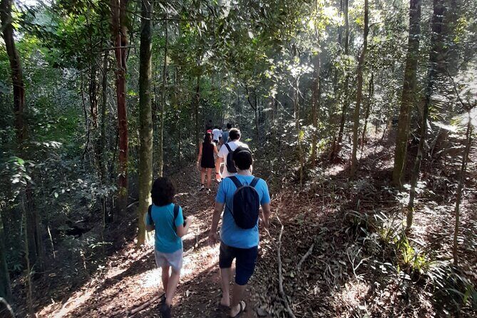 Tijuca National Park and all its wonders - Parque Nacional da Tijuca: the opening stretch that sets the mood