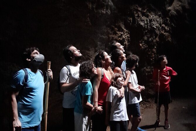 Tijuca National Park and all its wonders - Cascatinha Taunay: 35 meters of reward (and possible wet feet)
