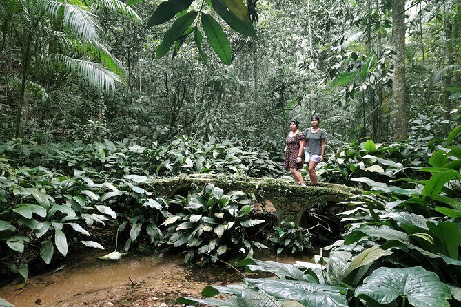 Tijuca National Park and all its wonders - The other waterfall stops: short stays that make the rainforest feel real