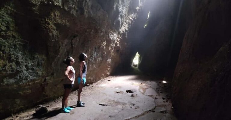 Tijuca National Park and all its wonders! - The Forest Walk and the Historical Circuit of Coffee and Livestock