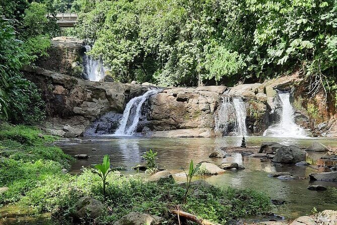 Tour Shaman medicinal plants and waterfalls - Medicinal plants: where learning feels grounded (and why that’s valuable)