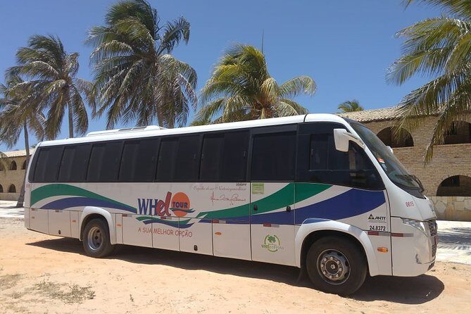 Transfer Out - From your Hotel in Natal to the Airport - Professional Drivers, Accredited Vehicles, and the Human Side of a Transfer