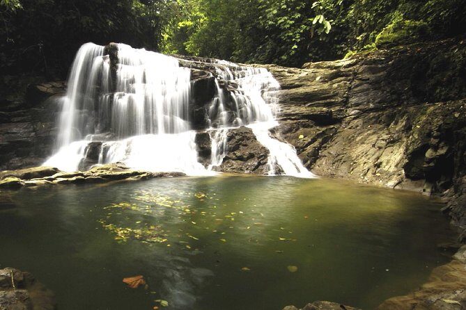 Veragua Rainforest and Tortuguero Canals Shore Excursion - The Aerial Tram and the Walk to the Waterfall