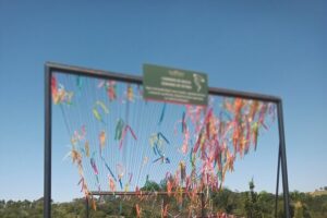 Wine Tour in São Roque by Car, Tour with Local Guides - What Makes São Roque Special Here (Beyond the Label Talk)